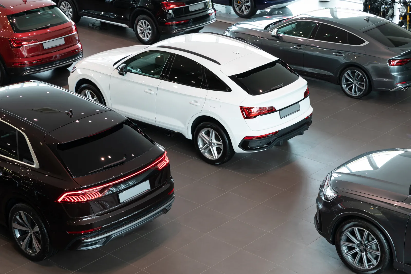 Véhicules neufs alignés dans notre showroom